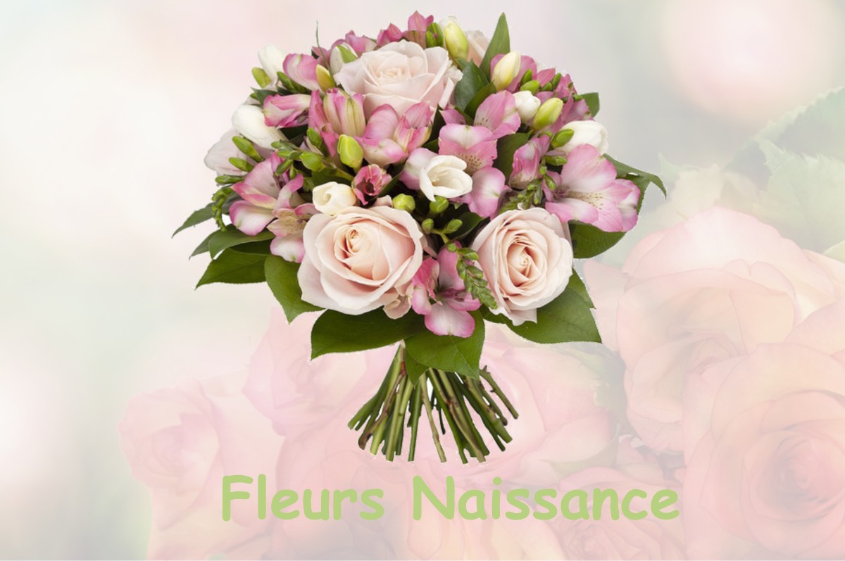 fleurs naissance SANGUINET