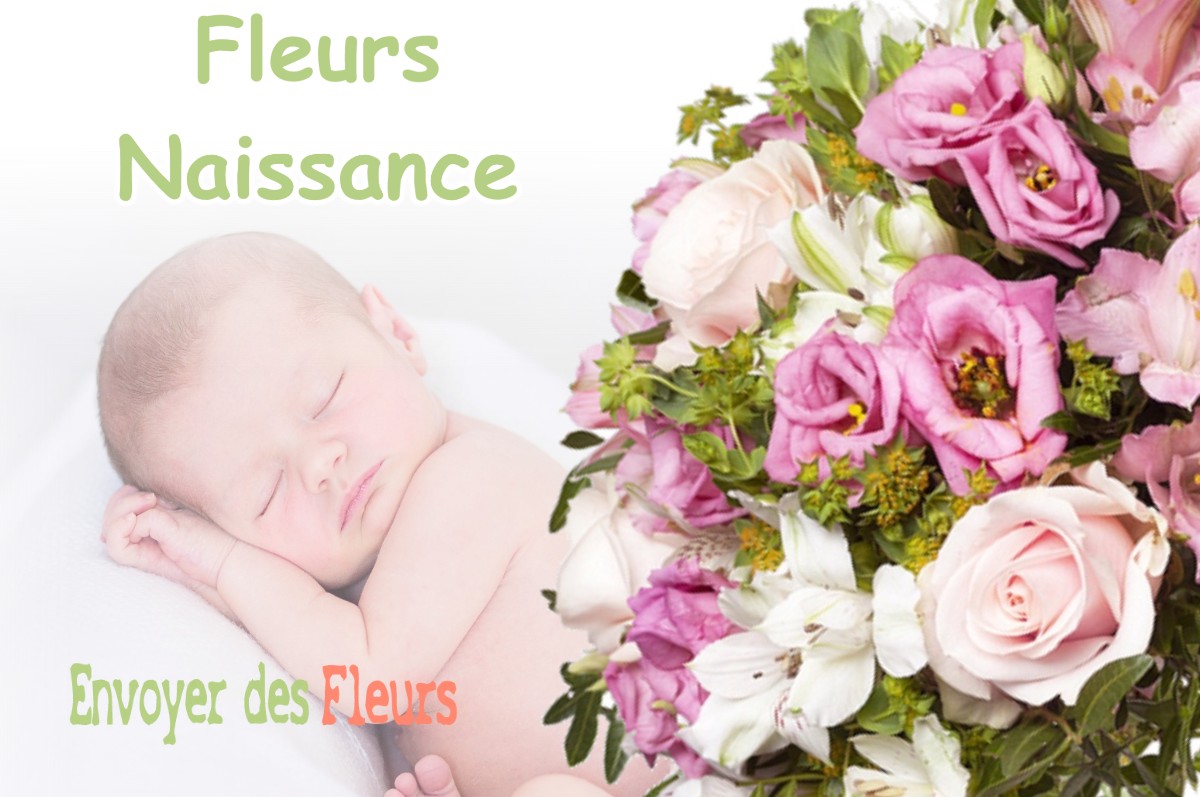 lIVRAISON FLEURS NAISSANCE à SANGUINET